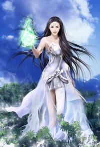 兵王之王